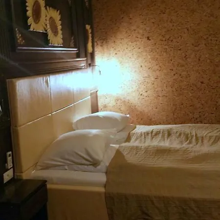 Szálloda Golden Spirit Herkulesfürdő